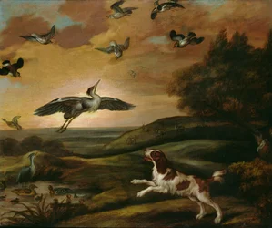 Regenpfeiferjagd